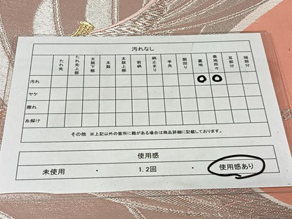 平和屋着物◎両面　六通柄袋帯　唐織　飛鳥文　金銀糸　正絹　逸品　CAAW2011ua