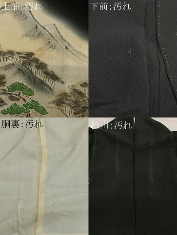 平和屋着物■豪華黒留袖 手描き 風景文 暈し染め 金彩 正絹 逸品 CAAW2234ua