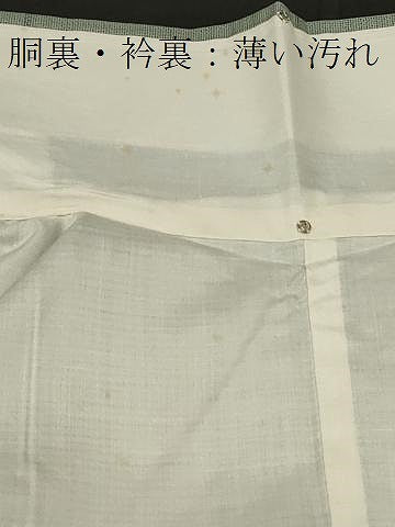 平和屋着物■上質な紬 花唐草文 正絹 逸品 CAAW2714in