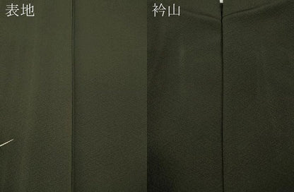 平和屋着物▽訪問着 単衣 枝花文 金銀彩 鈴乃屋扱い 正絹 逸品 CAAW2801ut