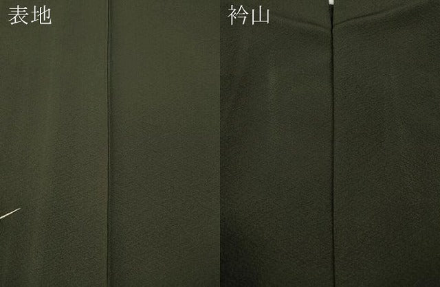 平和屋着物▽訪問着 単衣 枝花文 金銀彩 鈴乃屋扱い 正絹 逸品 CAAW2801ut