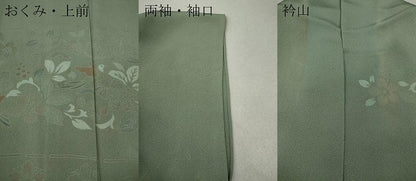 平和屋着物▽訪問着 単衣 舞蝶花唐草文 正絹 逸品 CAAW2802ut
