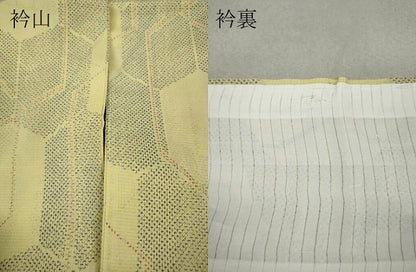 平和屋着物＊夏物 小紋 紗 亀甲吉祥文 洗える着物 CAAW3062ut