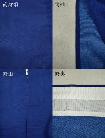 平和屋着物＊夏物 訪問着 絽 鷺 草木文 洗える着物 CAAW3063ut