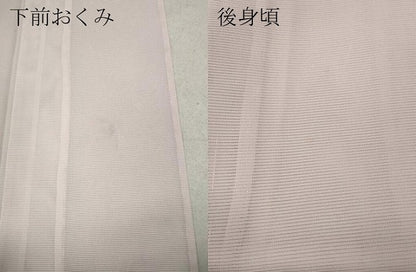 平和屋着物＊夏物 訪問着 絽 地紙花文 金彩 洗える着物 CAAW3066ut