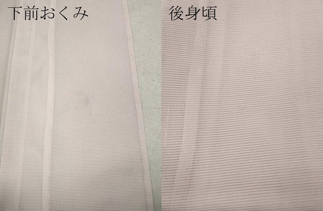 平和屋着物＊夏物 訪問着 絽 地紙花文 金彩 洗える着物 CAAW3066ut