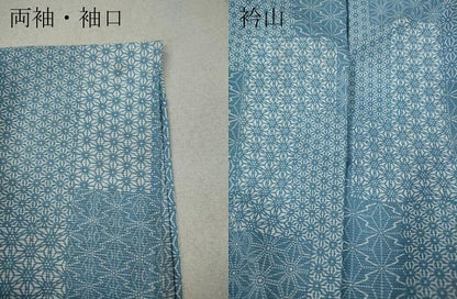 平和屋着物＊夏物 小紋 絽 短冊重ね麻の葉吉祥文 洗える着物 CAAW3093ut