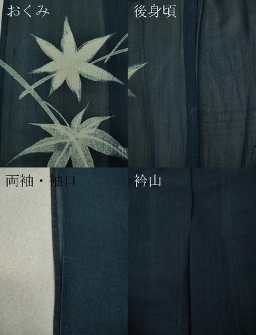平和屋着物＊夏物 訪問着 紗紬 枝楓文 正絹 逸品 CAAW3129ut