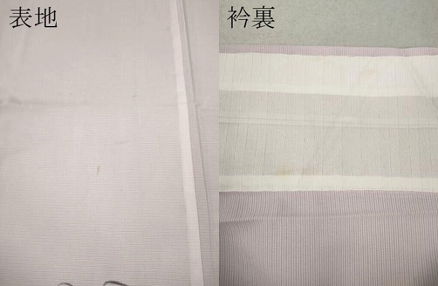 平和屋着物＊夏物 訪問着 絽 手描き 蔦の葉文 暈し染め 洗える着物 CAAW3143ut