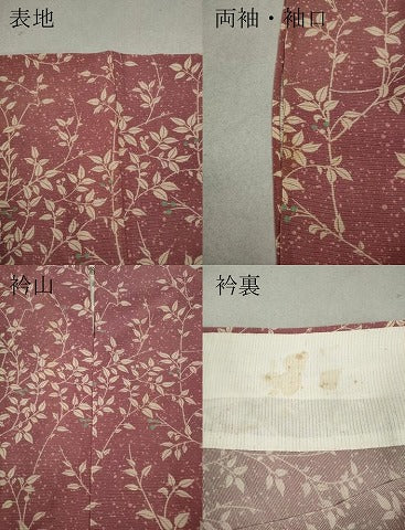 平和屋着物＊夏物　小紋　絽　枝木の実　正絹　逸品　CAAW3150ut