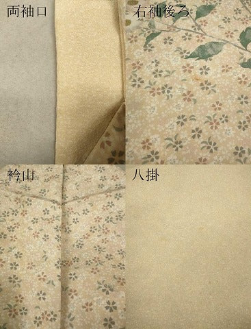 平和屋着物●訪問着 枝花文 金彩 正絹 逸品 CAAW3171ut