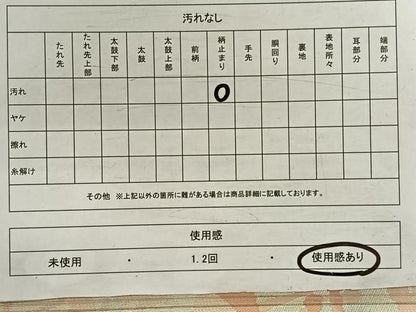 平和屋着物◎六通柄袋帯　枝梅文　金銀糸　正絹　逸品　CAAW3517qv