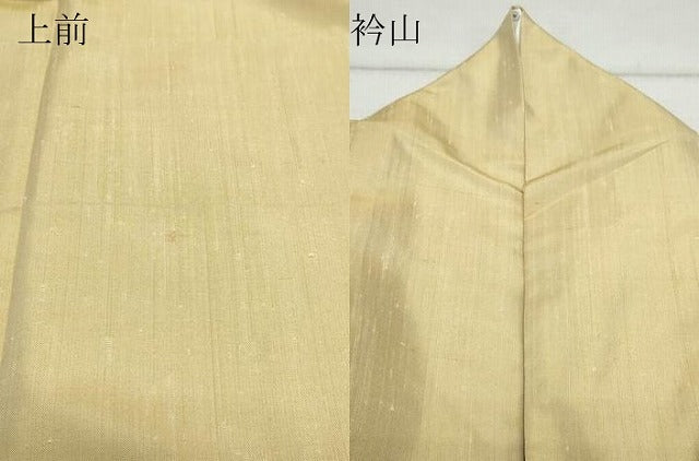 平和屋着物●訪問着　紬地　霞吉祥文　正絹　逸品　CAAW3604vf