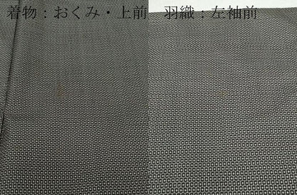 平和屋着物●男性 本場大島紬 アンサンブル 100亀甲 総詰め 正絹 逸品 CAAW3741vf