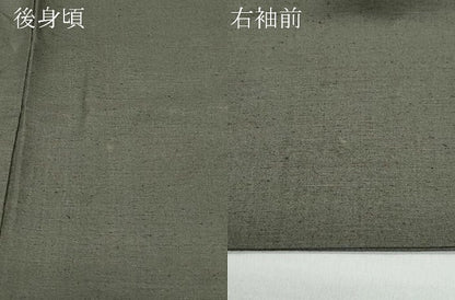 平和屋着物●上質な紬 色無地 江戸鼠色 正絹 逸品 CAAW3843vf