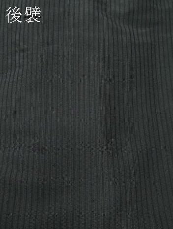 平和屋着物●男性　馬乗り袴　間道　正絹　逸品　CAAW3870vf