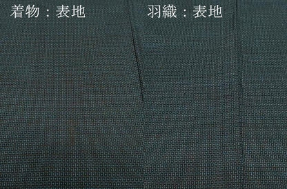 平和屋着物●男性　本場大島紬　アンサンブル　100亀甲　総詰め　みなみ紬謹製　証紙付き　正絹　逸品　CAAW3873vf