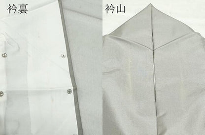 平和屋着物●訪問着 本場染大島紬 南天文 金銀彩 正絹 逸品 CAAW3883vf
