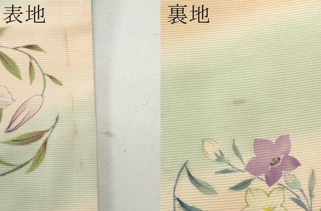 平和屋着物＊夏物 アンティーク 大正ロマン 丸帯 手描き 枝花文 正絹 逸品 CAAW6934fb