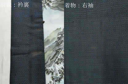 平和屋着物●男性 本場大島紬 アンサンブル 100亀甲 総詰め 正絹 逸品 CAAW7370yc