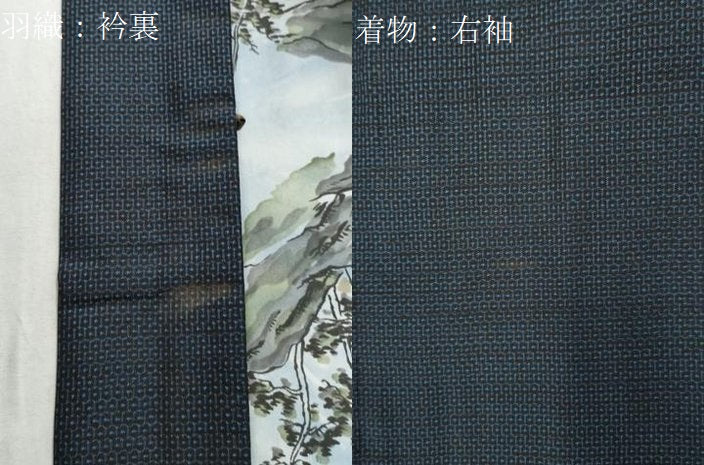 平和屋着物●男性 本場大島紬 アンサンブル 100亀甲 総詰め 正絹 逸品 CAAW7370yc