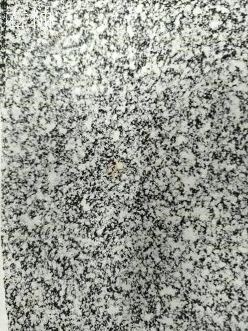 平和屋着物●訪問着 鷺草花文 たたき染め 黒地 金銀彩 正絹 逸品 CAAW7483yc