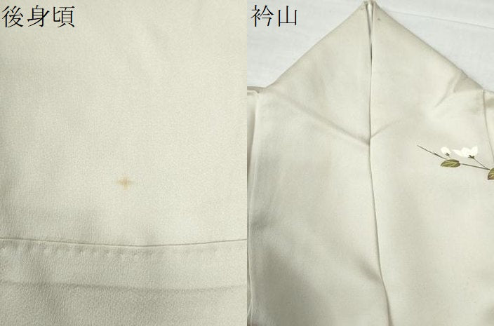 平和屋着物●訪問着　友禅　枝花文　正絹　逸品　CAAW7758yc