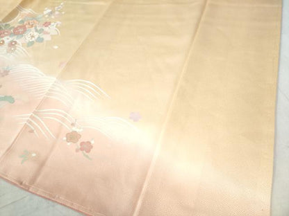 平和屋着物●訪問着 刺繍 花筏文 暈し染め 金彩 正絹 逸品 未使用 CAAW7929yc