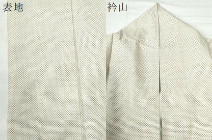 平和屋着物●本場大島紬 白大島 一元絣 正絹 逸品 CAAW8313yc
