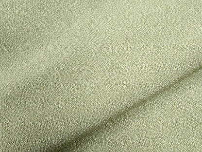 平和屋着物●江戸小紋　鮫小紋柄　鬼しぼ縮緬　正絹　逸品　CAAW8430yc