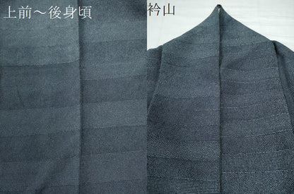 平和屋着物●訪問着 江戸小紋 寄せ小紋柄 正絹 逸品 CAAW8625yc