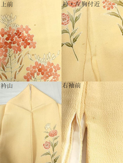 平和屋着物●訪問着　草花文　鬼しぼ縮緬　正絹　逸品　CAAW8739yc