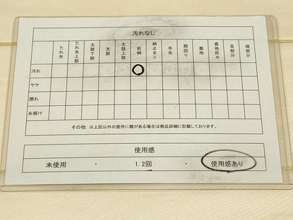 平和屋着物◎六通柄袋帯　螺鈿箔　押し花　金彩　正絹　逸品　CAAW9249qe