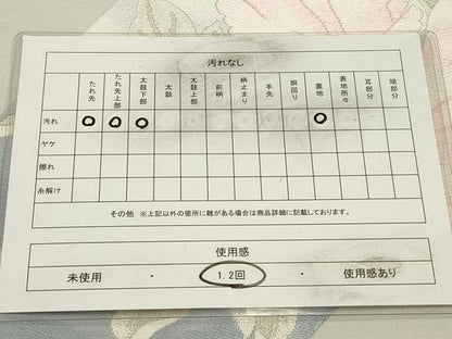 平和屋着物◎六通柄袋帯　唐織　洋花文　銀糸　正絹　逸品　CAAW9372qe