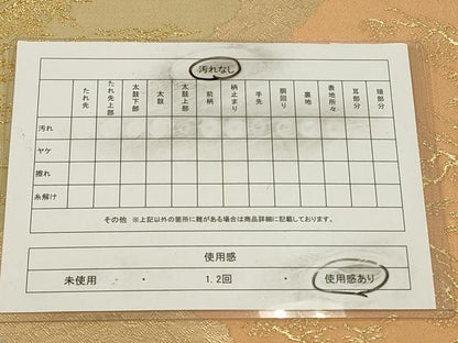 平和屋着物◎全通柄袋帯 抽象文様 金糸 正絹 逸品 CAAW9509qe