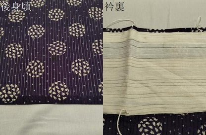 平和屋着物＊夏物 小紋 縦絽 舞桜吉祥丸文 正絹 逸品 CAAW9869gh