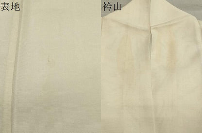 平和屋着物＊夏物 訪問着 絽 舞蝶文 暈し染め 正絹 逸品 CAAW9885gh