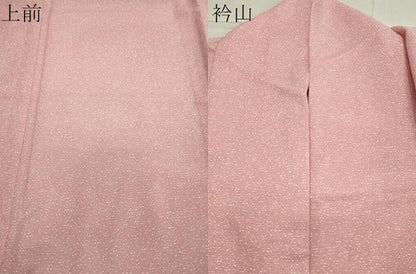 平和屋着物＊夏物 小紋 絽 大小あられ 洗える着物 CAAW9886gh