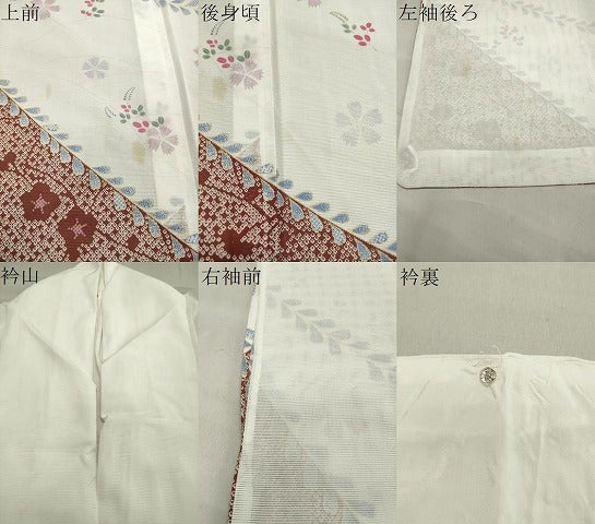 平和屋着物＊夏物　訪問着　絽　舞桜花文　洗える着物　CAAW9897gh