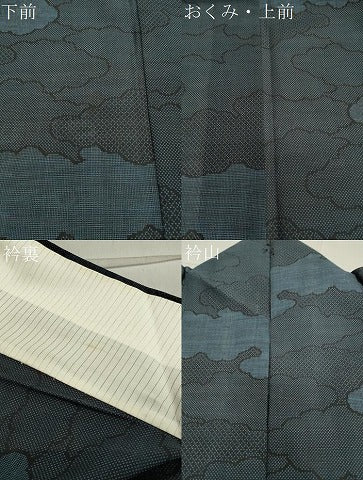 平和屋着物＊夏物 本場大島紬 夏大島 雲重ね文 正絹 逸品 CAAW9905gh