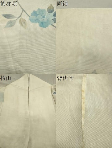 平和屋着物＊夏物 訪問着 絽 枝花文 正絹 逸品 CAAW9907gh