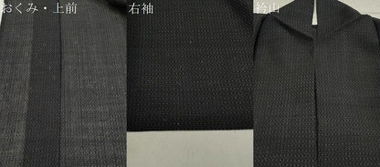 平和屋着物＊夏物 紗紬 吉祥文 正絹 逸品 CAAW9913gh
