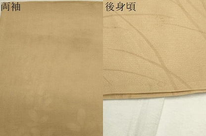 平和屋着物＊夏物 訪問着 絽 草花文 正絹 逸品 CAAW9919gh