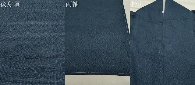 平和屋着物＊夏物 江戸小紋 絽 鮫小紋柄 正絹 逸品 CAAW9954gh