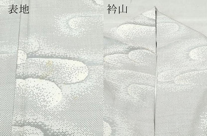 平和屋着物●本場大島紬 白大島 9マルキ 霞文 正絹 逸品 CAAX0824vf