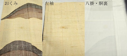 平和屋着物●色留訪問着　紬地　遠山文　正絹　逸品　CAAX0851vf