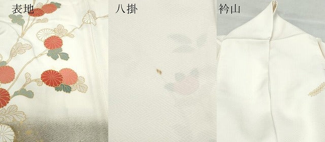 平和屋着物●訪問着 枝花文 金彩 正絹 逸品 CAAX1148vf
