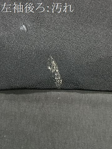 平和屋着物■豪華黒留袖　作家物　駒刺繍　石庭松文　暈し染め　金銀彩　正絹　逸品　CAAX1691xe