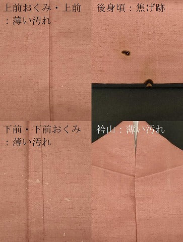 平和屋着物■上質な紬 曙色 正絹 逸品 CAAX2071in