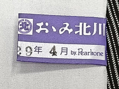 平和屋着物▽玉繭紬 単衣 縞 証紙付き 正絹 逸品 CAAX2475xi